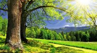 Sabah 33 dərəcə isti olacaq – PROQNOZ
