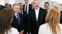 Sakinlər danışdı, Prezident tərcümə etdi – VİDEO