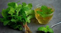 Yaddaşı və diqqəti yaxşılaşdırmağın ən sadə üsulu açıqlandı