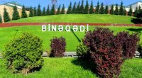 Binəqədidə DƏHŞƏT: Sakinlər təşviş içində - VİDEO