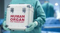 Azərbaycanda ölümündən sonra orqanlarını bağışlamaq istəyənlərin sayı ARTIB – RƏSMİ