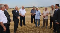 Qusarda kənd təsərrüfatı sahələrində aparılan işlərlə tanışlıq olub - FOTO