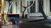 Ağacların dibinə asfalt tökülməsinə RƏSMİ MÜNASİBƏT: "İşlər özbaşına görülüb" - FOTO