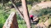 Bu görüntülərlə bağlı cinayət işi açıldı - VİDEO