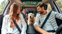 Ailə üçün 10 ən yaxşı avtomobil