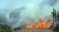 Türkiyədə yanğın törədən 21 nəfər həbs edildi - FOTO