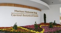 Mərkəzi Nəbatat Bağından azyaşlını ilan sancması xəbərinə REAKSİYA