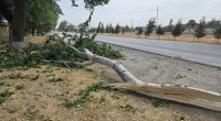 Xaçmaz rayonunda elektrik enerjisi hələ tam bərpa edilməyib - FOTO