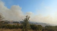 Türkiyədə meşə yanır - Əraziyə 8 təyyarə, 5 helikopter cəlb olunub