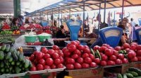 Bu məhsul bol və ucuzdur, amma alıcısı yoxdur