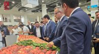 Xaçmazda ilk şaftalı festivalı – 18 növ məhsul TƏQDİM olunub - FOTO / VİDEO