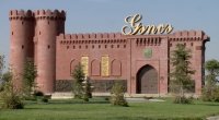 Gəncədə müəmmalı CİNAYƏT – 24 yaşlı oğlan BIÇAQLANDI