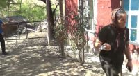 Cəlilabadda sakinlərə hücum edən çaqqalı qadın öldürüb - TƏFƏRRÜAT/FOTO