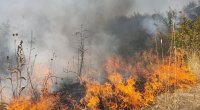FHN Qazaxdakı yanğınla bağlı məlumat yaydı - YENİLƏNİB/FOTO/VİDEO