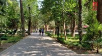 Gəncədə PİLOT LAYİHƏ – Qədim şəhərimizdə yaşıllıqlar belə qorunacaq – FOTO