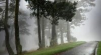 Hava KƏSKİN DƏYİŞİR – Duman, külək...