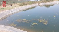 Lənkəranda yeniyetmə süni göldə boğuldu – FOTO