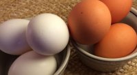 Sarı, yoxsa ağ - Hansı yumurta daha faydalıdır?