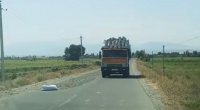 Yola günəbaxan tumları yığdı, məsuliyyətə cəlb edildi - FOTO