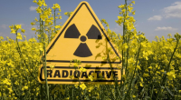 Azərbaycan ərazisində radioloji vəziyyət necədir?