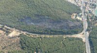 SON DƏQİQƏ: Bodrumda meşə yanğınları başladı - FOTO/VİDEO