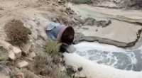 Masazırdakı duz gölünə kanalizasiya suyu axıdılır – VİDEO