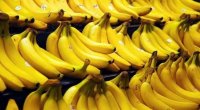 Hər gün banan yemək ziyanlıdır?