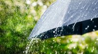 Sabah leysan olacaq, temperatur 5-6 dərəcə enəcək