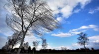 Bakıda və rayonlarda külək güclənəcək – XƏBƏRDARLIQ