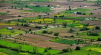 Kənd təsərrüfatı təyinatlı torpaqlarla bağlı YENİLİK – Tikinti qaydaları DƏYİŞDİ
