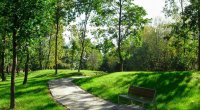 Parkdan meyit tapıldı