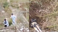 Bakıda qəbiristanlığa cadu basdıran qadınların görüntüləri yayıldı - VİDEO