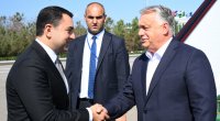 Orban Qəbələdədir – FOTO