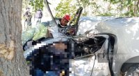 Şabranda avtomobil ağaca çırpıldı - Sürücü öldü - FOTO
