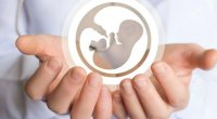 Azərbaycanda dəhşətli STATİSTİKA - 15-17 yaş arası neçə qadın abort etdirib?