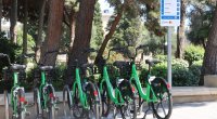 Paytaxtda velosiped oğruları TUTULDU