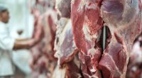 Bakıda ət UCUZLAŞDI – Yeni QİYMƏT/FOTO
