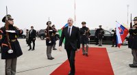 İlham Əliyevin Slovakiyaya rəsmi səfəri BAŞA ÇATDI - FOTO