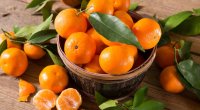 Mandarinlər niyə tez xarab olur?