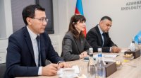 ETSN ilə BMT arasında gələcək fəaliyyət istiqamətlərinə dair müzakirələr aparıldı - FOTO