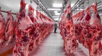 Azərbaycanda bu ölkələrdən gətirilən ətlər satılır - SİYAHI