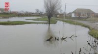 Masallıda əkin sahələri su altında qaldı &ndash; FOTO