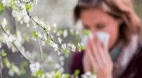 Yaz allergiyası mövsümündə ən çox hansı səhvə yol verilir?