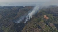 Türkiyədə meşə yanğını: 3 helikopter havaya qaldırıldı - VİDEO