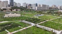 Bu ərazidə yeni metro stansiyası tikiləcək - VİDEO