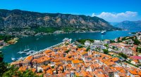 Monteneqroya gedən vətəndaşımızı məcburi İŞLƏDİRLƏR