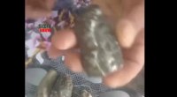 Azərbaycanda tapdığı daşı satışa çıxardı: qramı 2 milyon dollar... - VİDEO