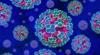 Hantavirus otaq temperaturunda maksimum nə qədər "sağ qalır?" - Həkimdən AÇIQLAMA