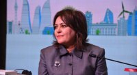 Azərbaycan müxtəlif ekoloji problemlərlə üzləşib - Umayra Tağıyeva