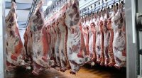 Braziliya ətlərində TƏHLÜKƏ AŞKARLANDI &ndash; Azərbaycana da İDXALI DAYANDIRILACAQ?